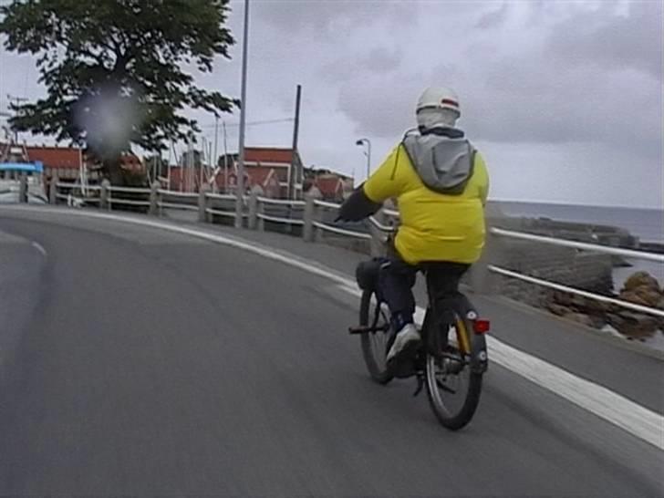 Velo solex 3800 billede 5