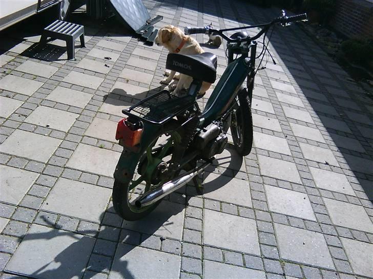 Tomos quadro ( SOLGT) billede 3
