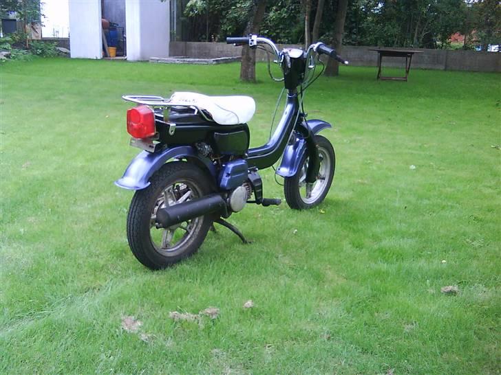 Suzuki Fz50 [solgt] billede 6