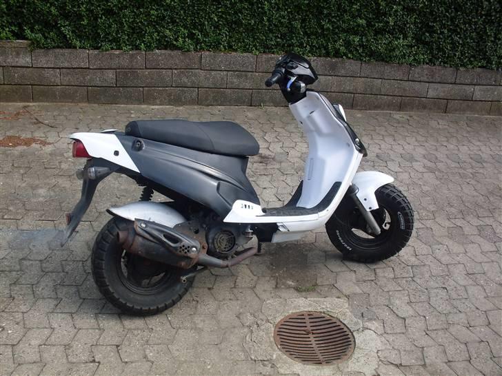 PGO big max - skal og så have stort polini mærke hen af siden billede 3