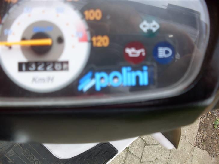 PGO big max billede 4