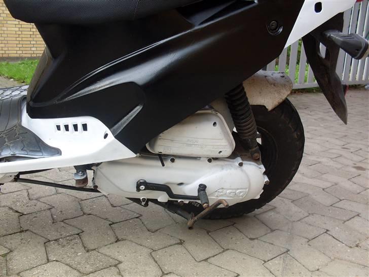 PGO big max billede 5