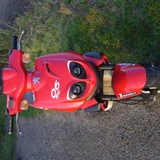 Peugeot TKR (Tulle) R.I.P.