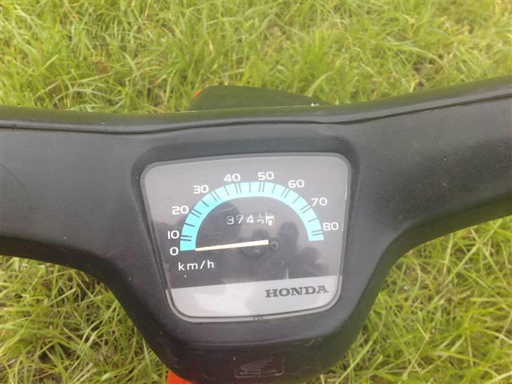 Honda wallaroo til salg  billede 3