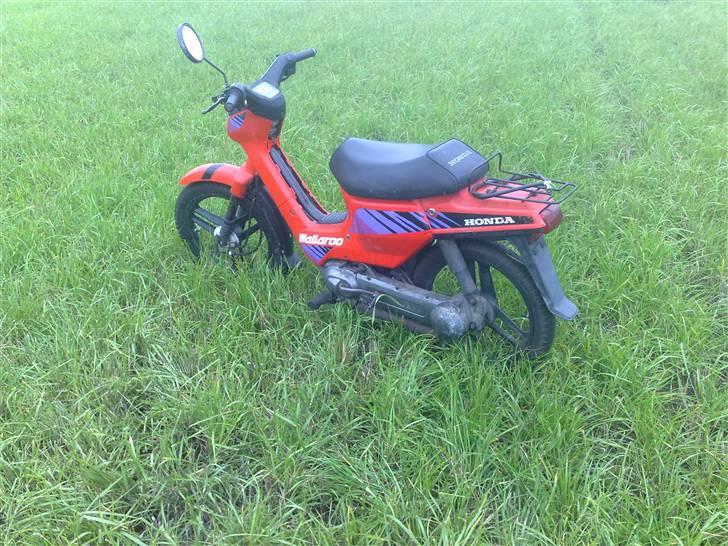 Honda wallaroo til salg  billede 5