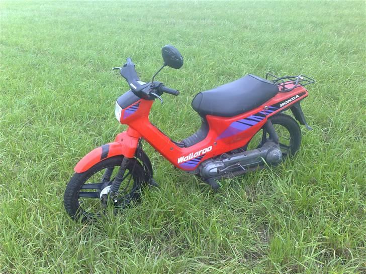 Honda wallaroo til salg  billede 6