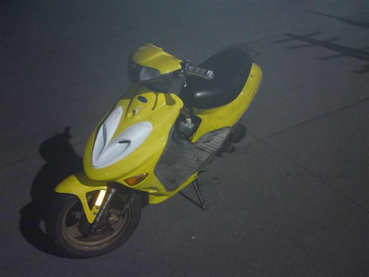 Adly silverfox billede 1