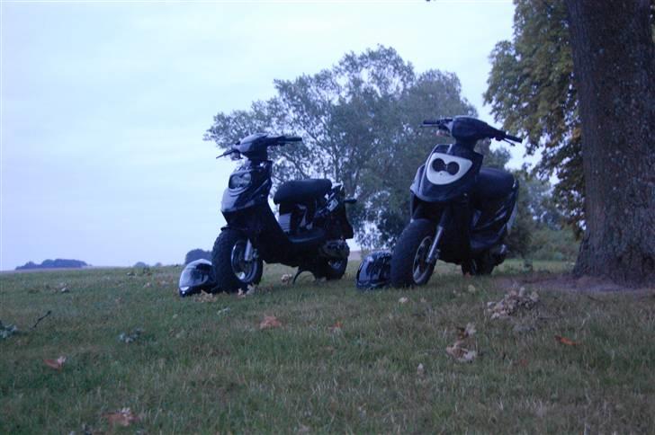 PGO hot 50 stjålet - dusør.. - Gejl, positions lys i blinklysene+gul forlygte pære. Billederne er taget sammen med ´simon o´s hot ;) billede 5