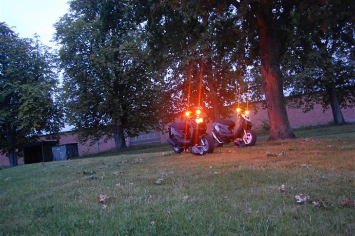 PGO hot 50 stjålet - dusør.. - Gejl, positions lys i blinklysene+gul forlygte pære. Billederne er taget sammen med ´simon o´s hot ;) billede 7