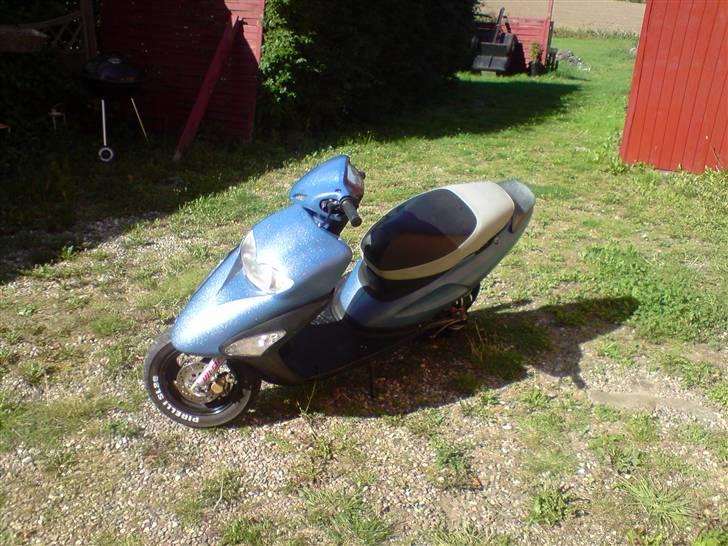 Honda Sfx - Banditten billede 15