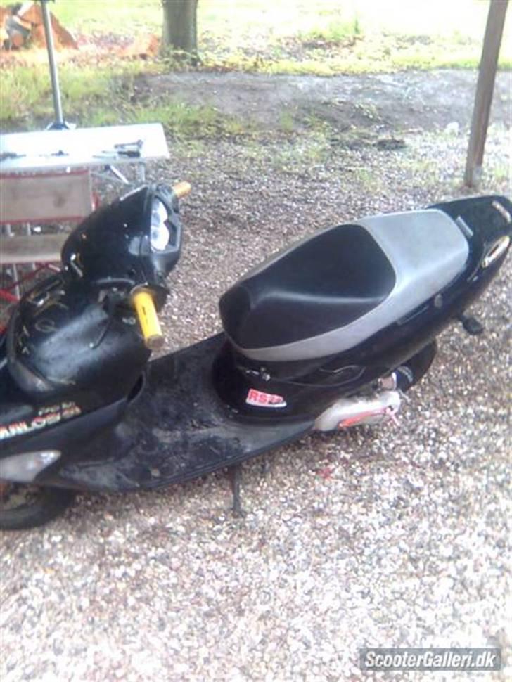 Honda sfx solgt billede 5