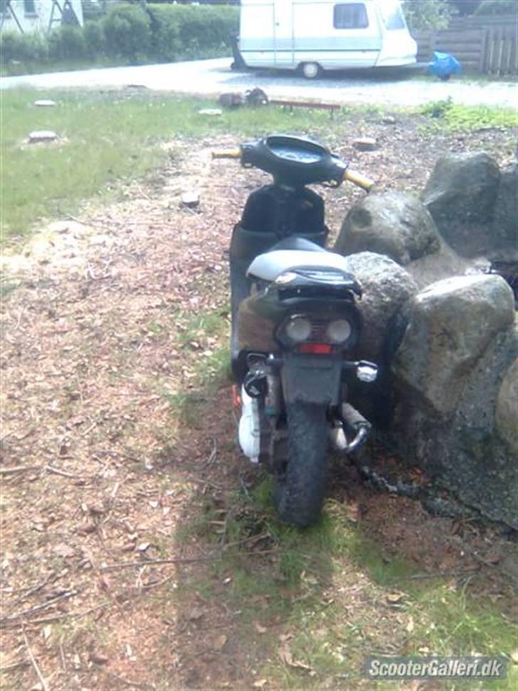 Honda sfx solgt billede 7