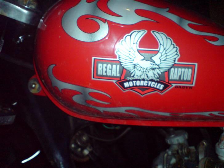 Regal Raptor TILSALG billede 1