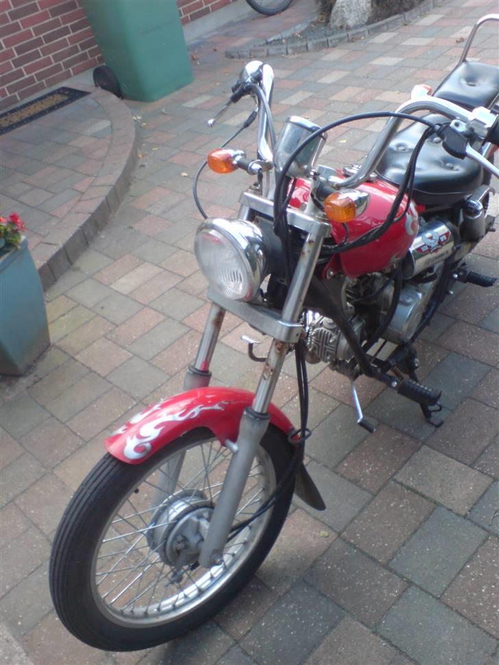 Regal Raptor TILSALG billede 3