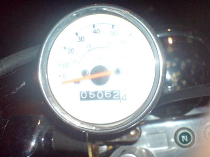 Regal Raptor TILSALG billede 5