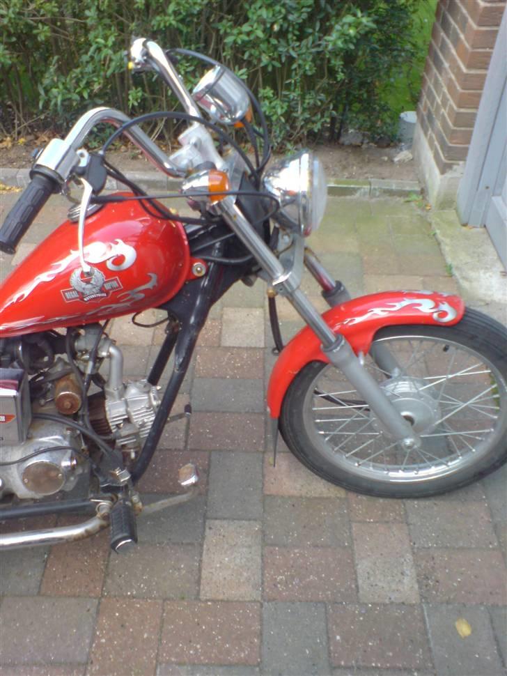 Regal Raptor TILSALG billede 8