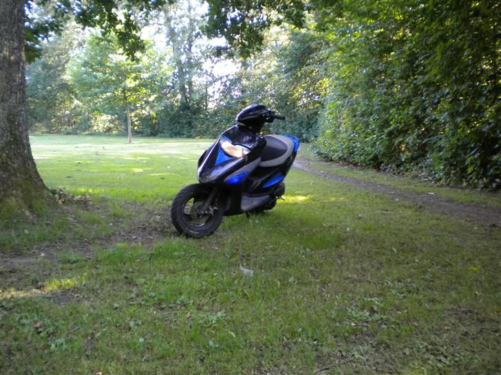 Honda Sfx billede 2