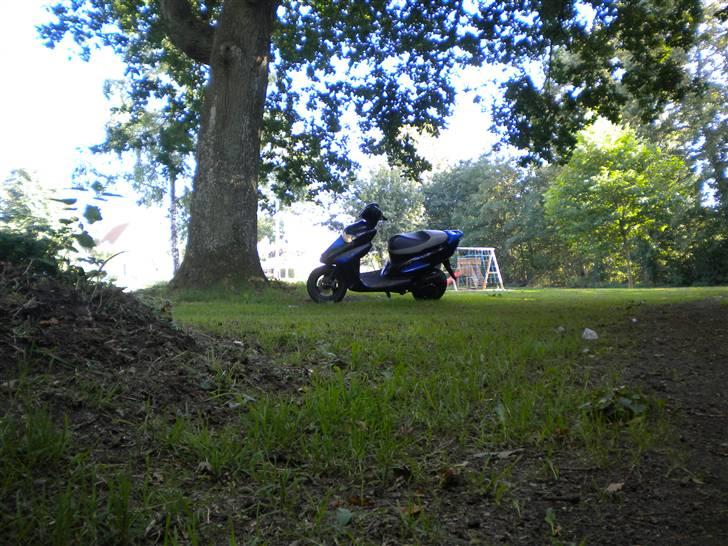 Honda Sfx billede 3
