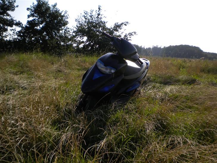 Honda Sfx billede 8