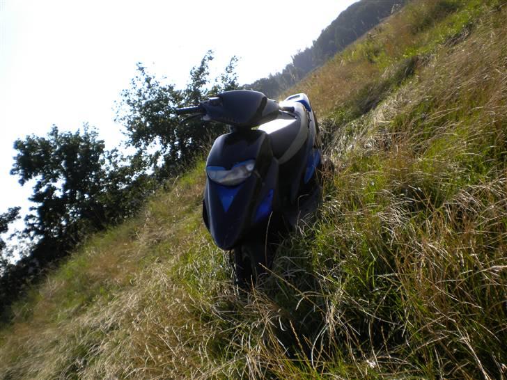 Honda Sfx billede 9