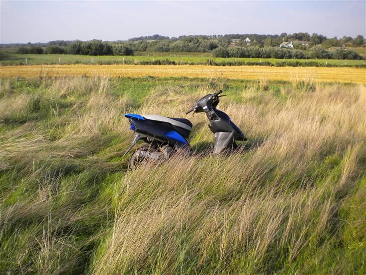 Honda Sfx billede 10