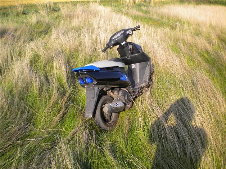 Honda Sfx billede 11