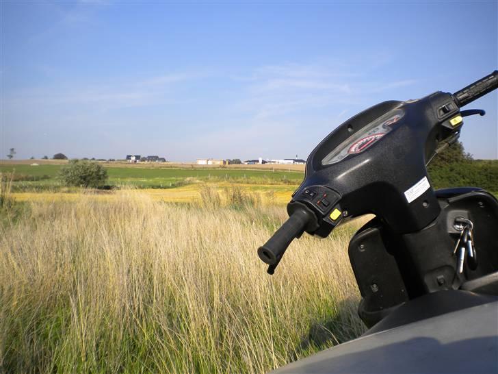 Honda Sfx billede 13
