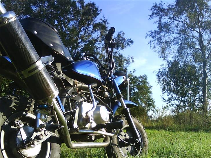 Skyteam Monkey [Til salg] billede 10