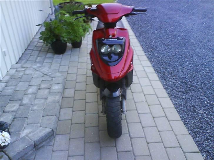 PGO Hot 50(Byttet) - 12.09.2009 " nye skjolde " billede 1