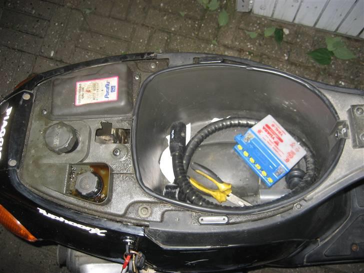 Piaggio Typhoon Hverdagslave ;b billede 10