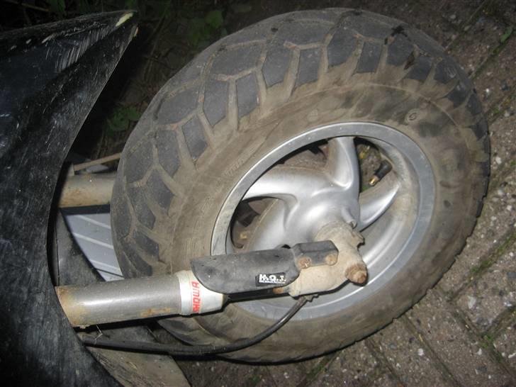 Piaggio Typhoon Hverdagslave ;b billede 13