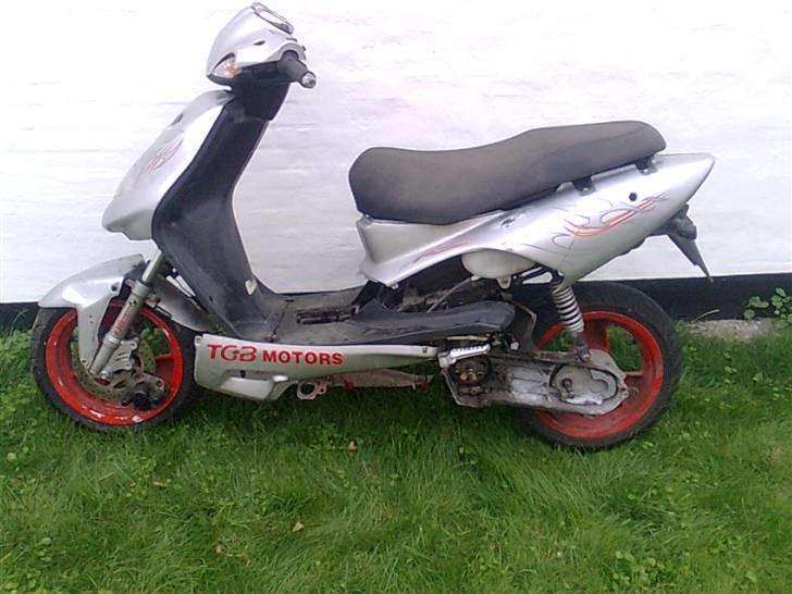 TGB Pegasus Projekt (solgt) billede 1