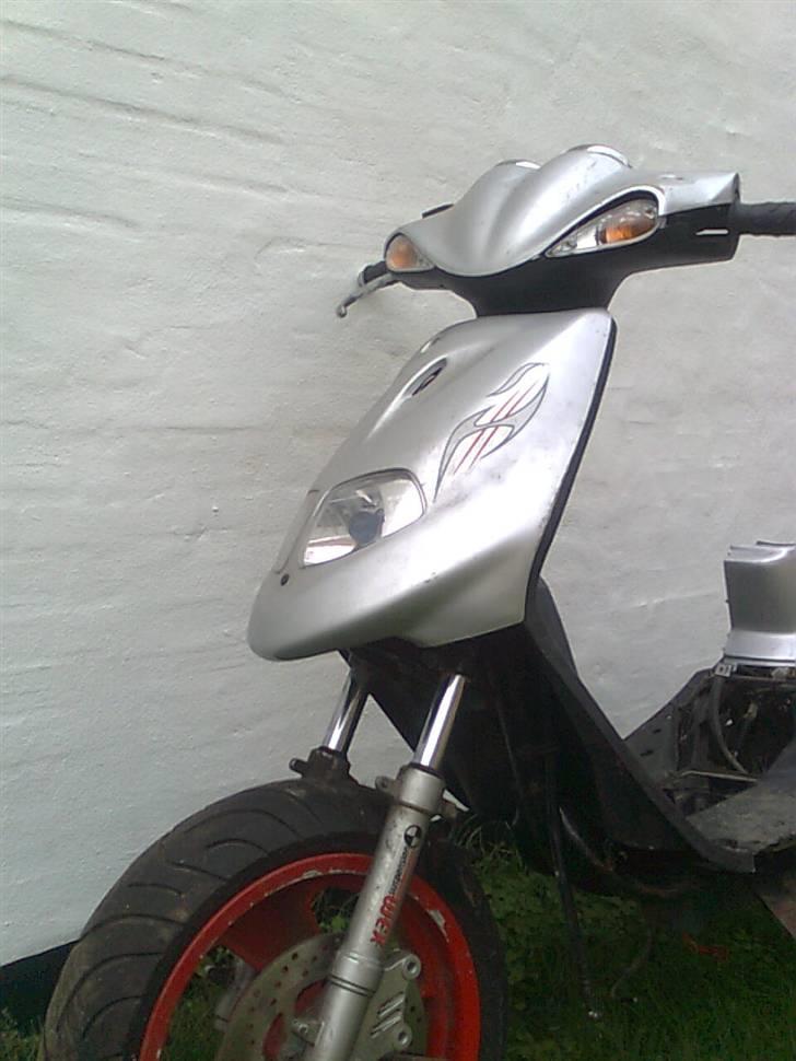 TGB Pegasus Projekt (solgt) billede 2