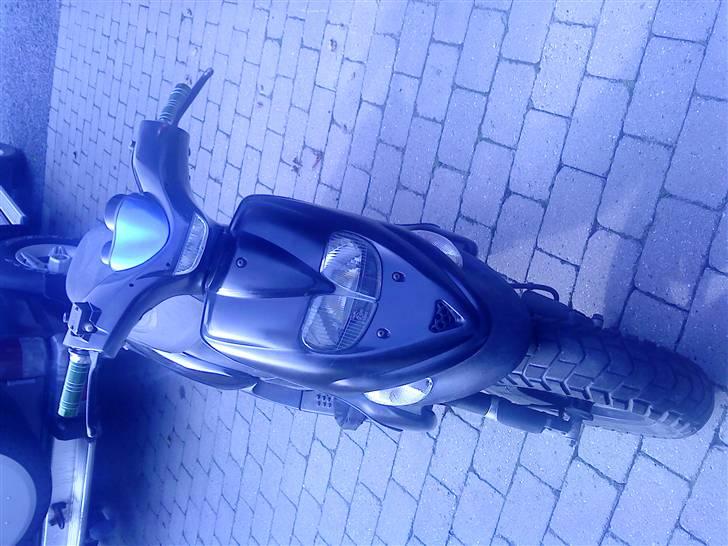 Gilera stalker byttet billede 4