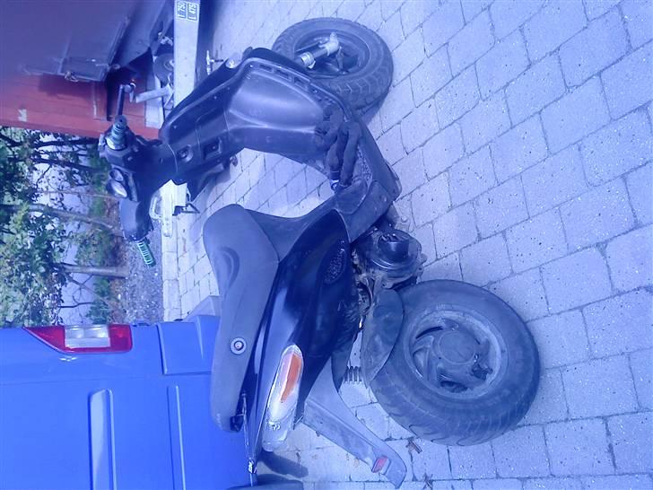 Gilera stalker byttet billede 5