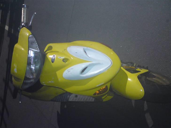 Adly silverfox billede 3