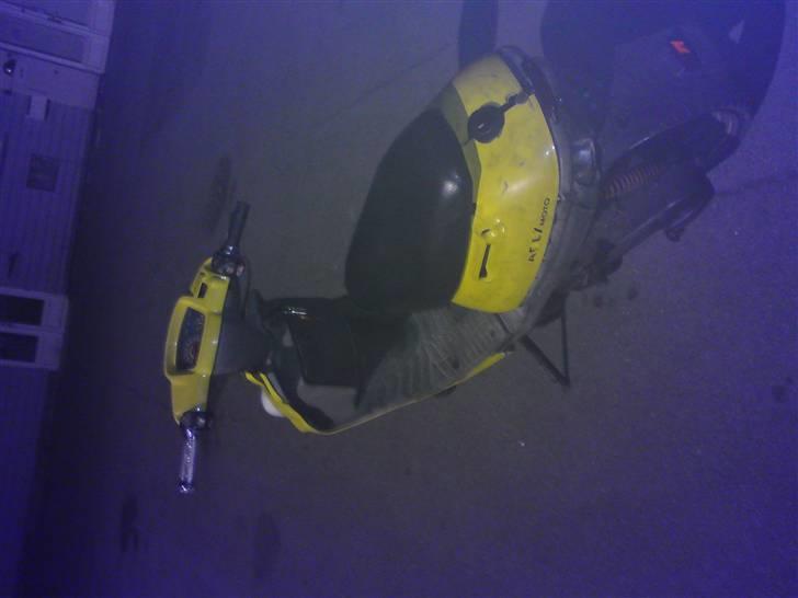 Adly silverfox billede 4