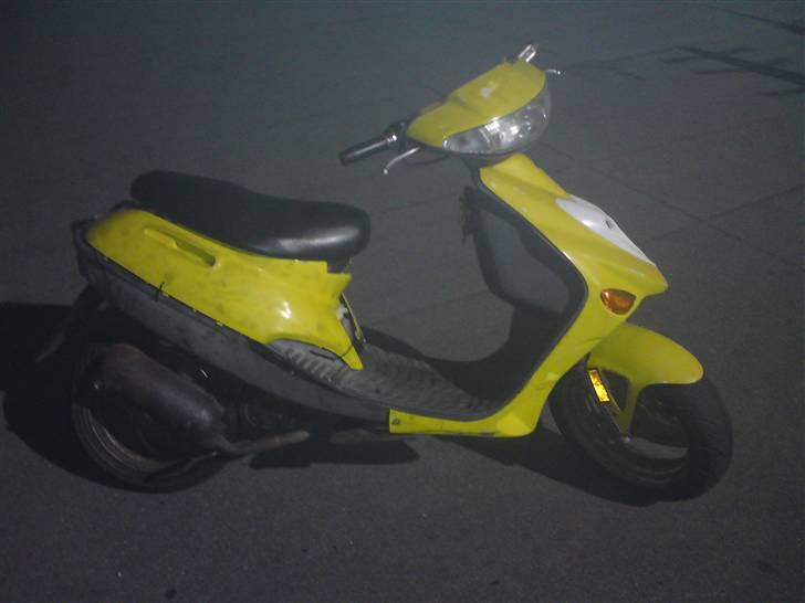 Adly silverfox billede 5