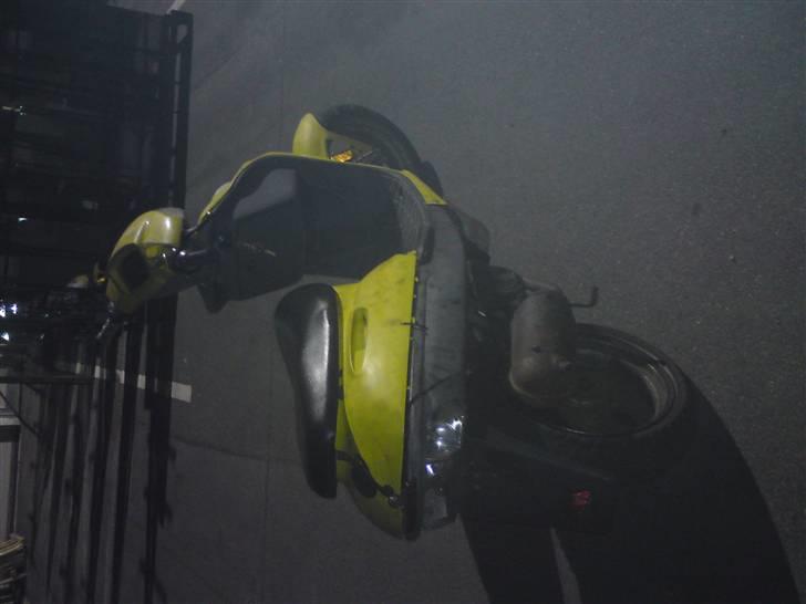 Adly silverfox billede 6