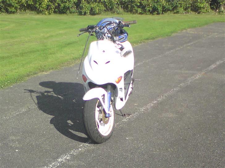 Adly silverfox (solgt) billede 19