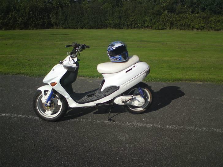 Adly silverfox (solgt) billede 20