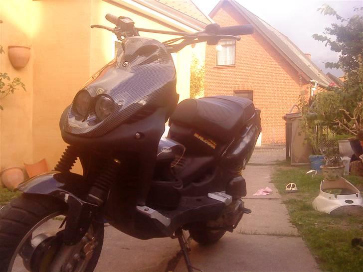 PGO pmx carbon billede 2