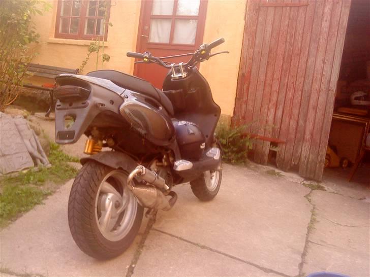 PGO pmx carbon billede 6