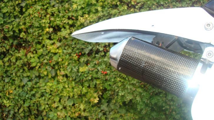 Suzuki RMX 50 billede 16