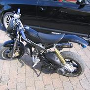 Suzuki Street magic - SOLGT