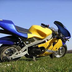 MiniBike Racing  (SOLGT)