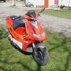Derbi predator tilsalg/Bytte
