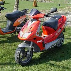 Derbi predator tilsalg/Bytte
