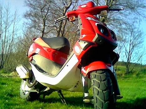 Peugeot TKR WRC "solgt" billede 12