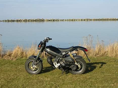 Suzuki Street Magic billede 8